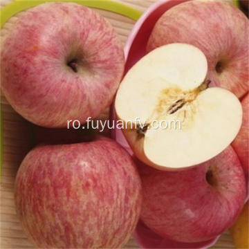 Fructe proaspete de fructe proaspete Red Star Apple